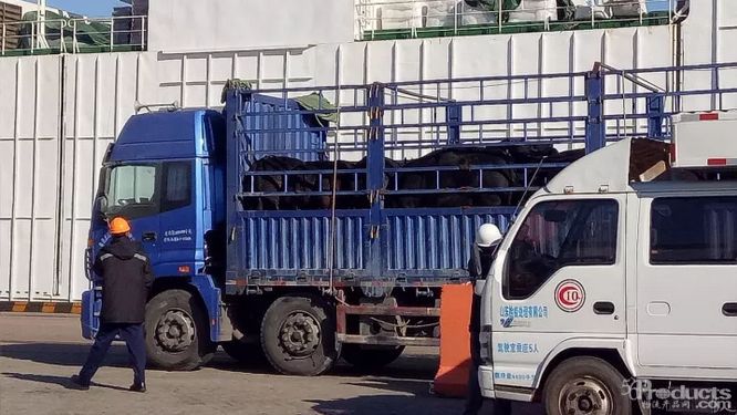 活畜禽运输车辆将不再享受免费绿色通道