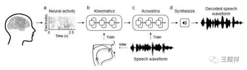 “脑联网”不再遥远，人类将成为半机械人而永生？