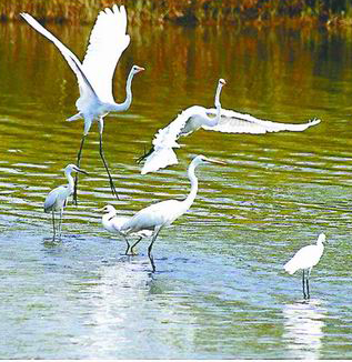建立危险废物闭环管理体系