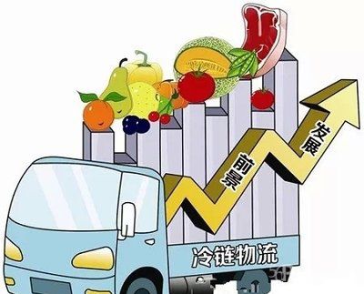 冷链物流助阿克苏特色果品走得更远