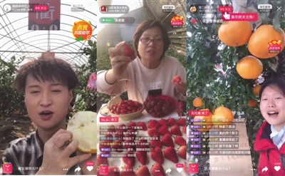 把滞销变畅销！电商打响“农产品保卫战”