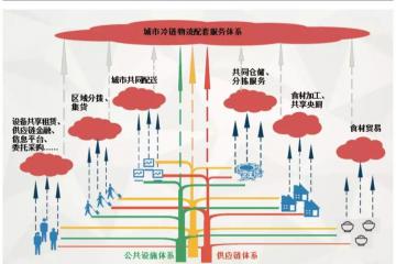 共享理念渗入冷链物流园区需面对的问题