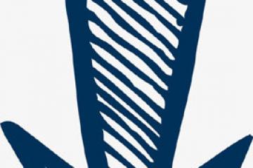 日韩贸易摩擦加剧韩国消费者抵制日货 日本车销量大“跳水”