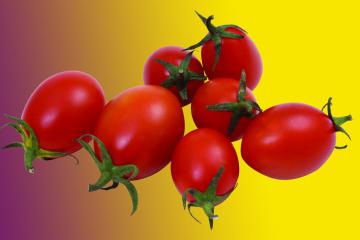 启明医疗率先开启高风险医疗器械冷链配送智慧物流新模式