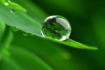 从“污染大户”到“全电港口”的绿色转身