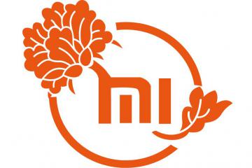 视频：小米要进军物流行业了