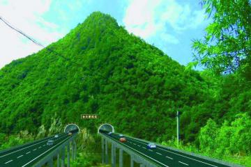 中国(山东)自由贸易试验区启动建设