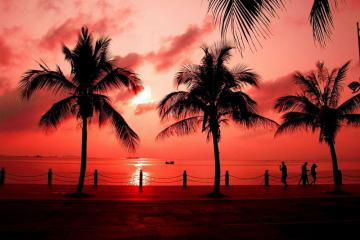 开拓创新探索符合自贸港“管得住”的制度体系