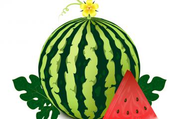 视频：无人机空运冰镇大西瓜