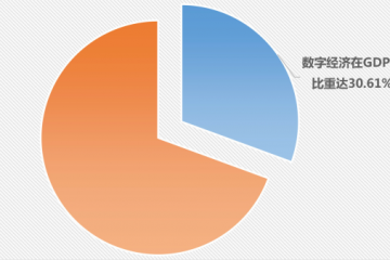 全球数字经济联盟未来发展三年行动计划发布