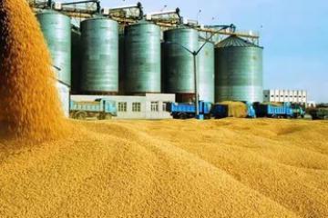 守护粮食安全，一粒粮一座粮仓