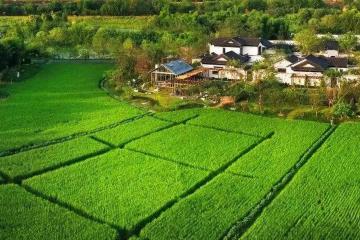 广安邻水县：让主题教育走进田间地头
