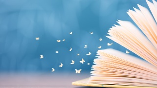 以实施《优化营商环境条例》为契机