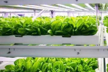 为农业经济注入更多科技含量