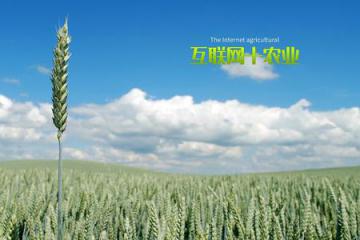 让农业搭上“互联网”快车