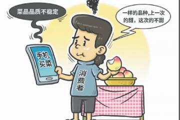 守护好“指尖”上的菜篮子(网上中国)