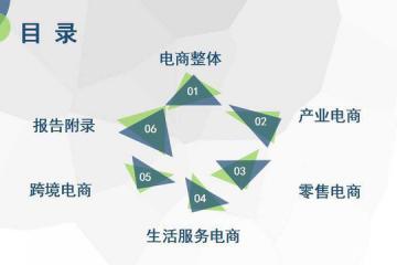 《2018年度中国电子商务市场数据监测报告》