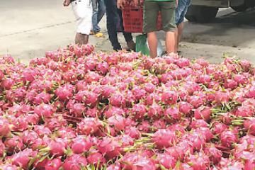 中国过大年  全球领“红包”