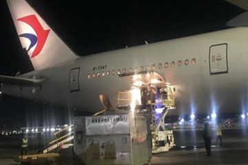 海外华人募集500万元救援物资 首批经绿色通道运抵武汉