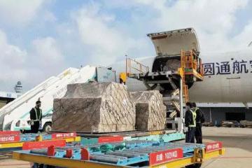 顺丰、中国邮政、圆通空中战“疫”