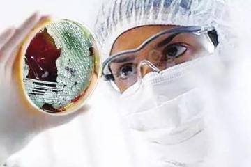 疫情期间，各国外贸新规及企业应对措施