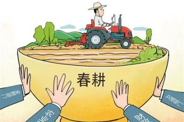 专家：产能、库存、政策均有底 我国粮食安全有保障