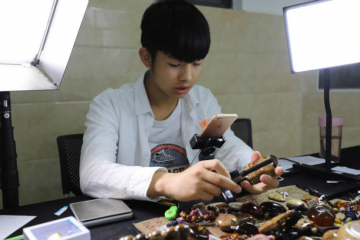 这个月薪五万的新职业背后，淘宝直播接下来要这么干