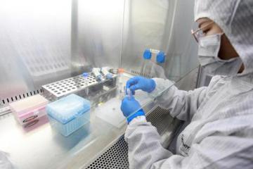 “中国进口”为稳定海内外经济提供支撑（开放谈）