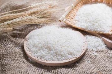 中国粮食  中国饭碗