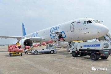 菜鸟新物流再加速：全球骨干网和乡村毛细血管按下快进键