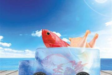 北京疫情能否倒逼冷链物流产业升级