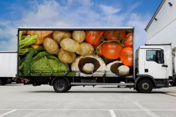 国家发展改革委：2020年国家骨干冷链物流基地建设名单