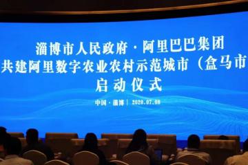 全国第一个“盒马市”来了！