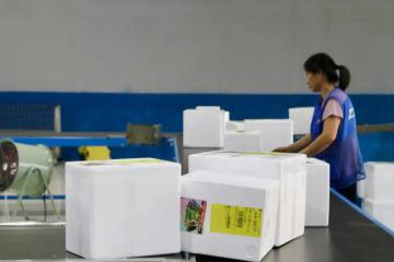 冷链只能看顺丰？中通发雪糕48小时收货