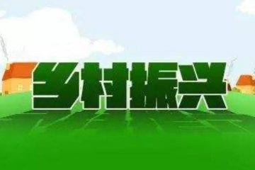 农业农村部：“十四五”将重点加大高标准农田等投入