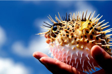 京深海鲜市场不再向个人开放 原冻品区转为线上交易