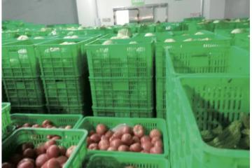 农产品冷链“最先一公里”基础设施亟待发展