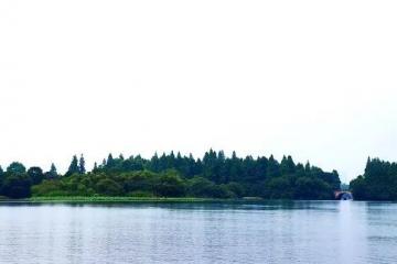 再获政策加持，氢燃料电池发展向好