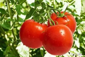 鲜生活冷链完成6亿元人民币A轮融资