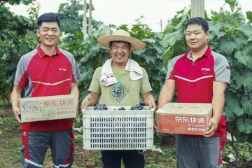 年货反向狂奔：北上广深杭，收到县区包裹增长了25%