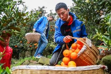 农村快递再迎利好，中央一号文件发布