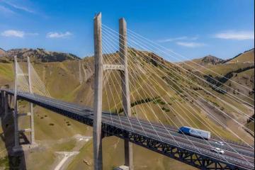 美国变脸，中资物流会成美股韭菜？