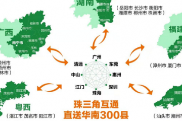 极兔“七伤拳”，巨亏200亿