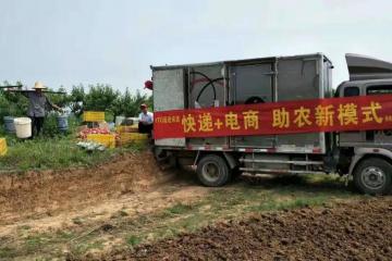 农村快递跑出“加速度”