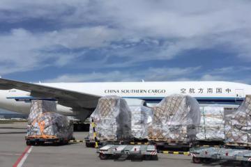 当日达、空铁联运、菜鸟包机……三大航货改的大半年都干了啥