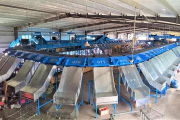 数据来了！中通、韵达、申通、极兔、菜鸟、京东…春节不打烊表现如何？