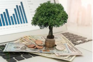 以系统观念推动绿色低碳发展