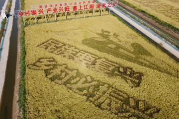 “快递进村”大利好！被写入2022年中央一号文件
