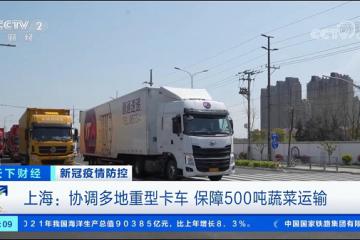 乘龙H7亮相央视黄金档，三天输送500吨蔬菜入沪