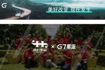 榴莲大王「洪九果品」，供应链撑起的万亿江湖路